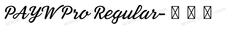 PAYW Pro Regular字体转换 PAYW Pro Regular字体转换